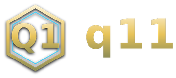 q11 logo